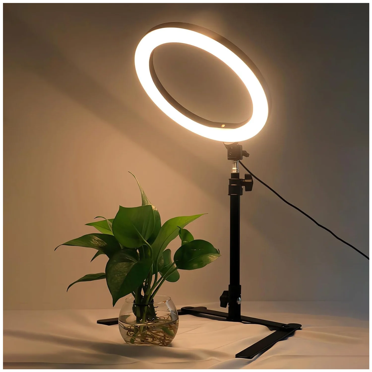 Aro de luz trípode de escritorio soporte de celular anillo de luz LED MM-F10 - Image 3